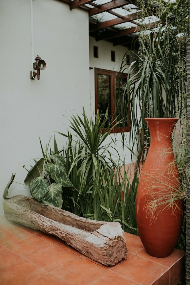 Фото House of Moedjito