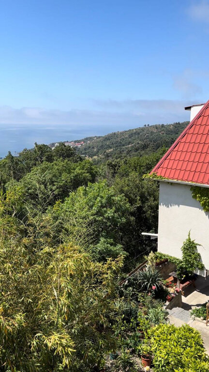 Фото Теремок