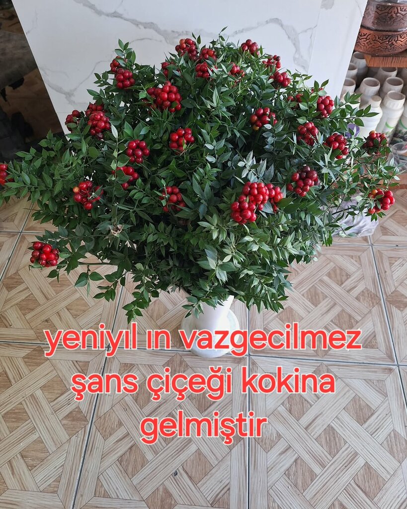 Flower shop Erzin ferman çiçekçilik, Erzin, photo