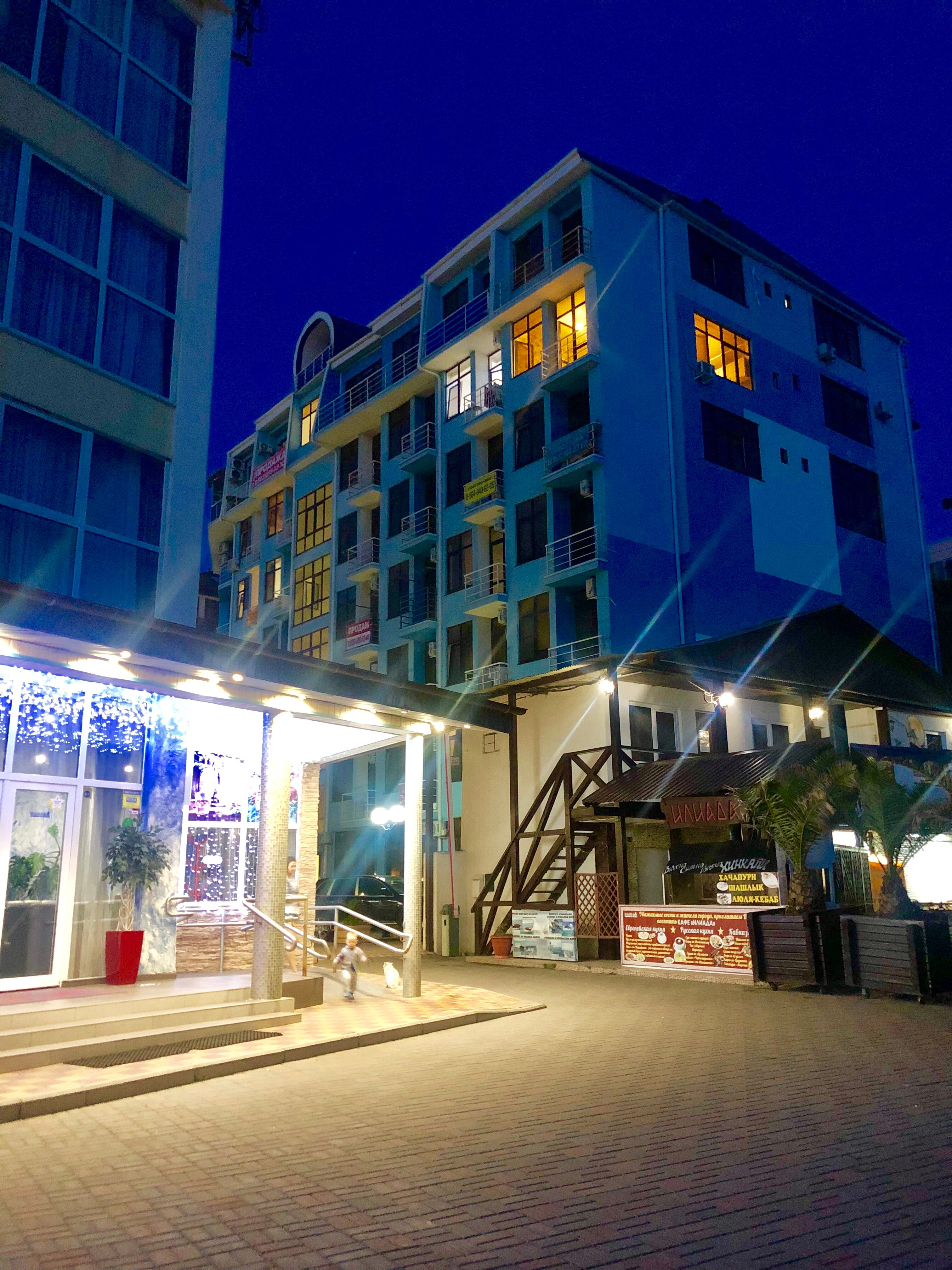 Фото Дельфин