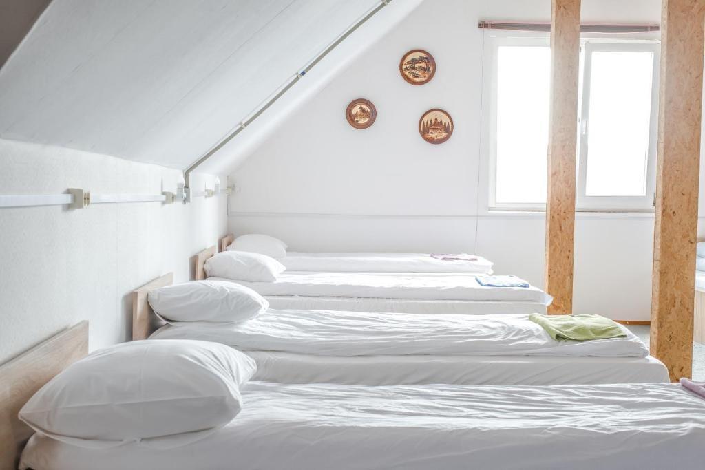 Фото ИнЛайк