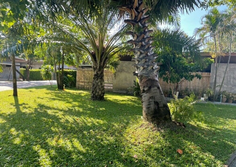 Фото Smile buffalo resort