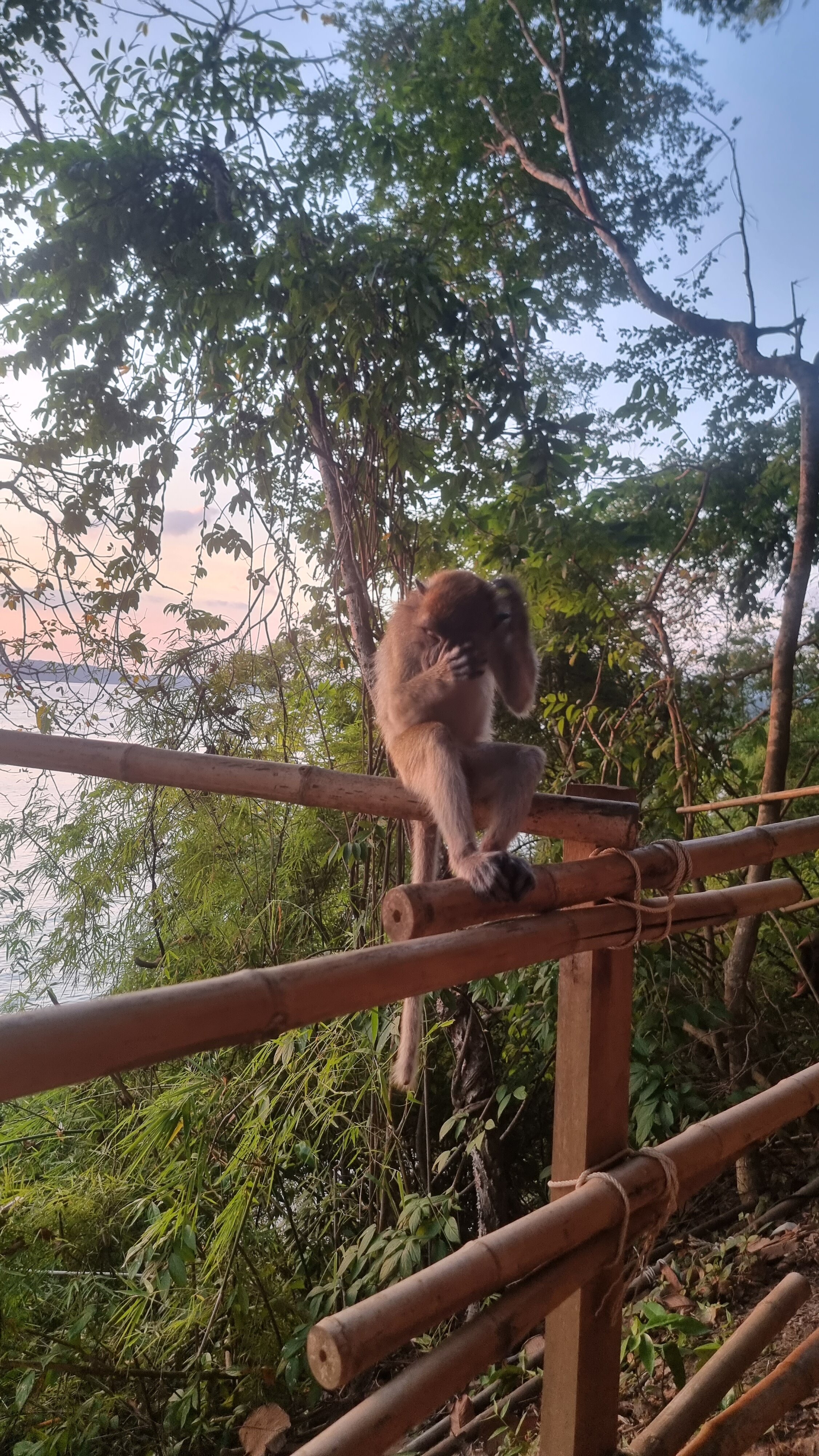 Фото Krabi Resort