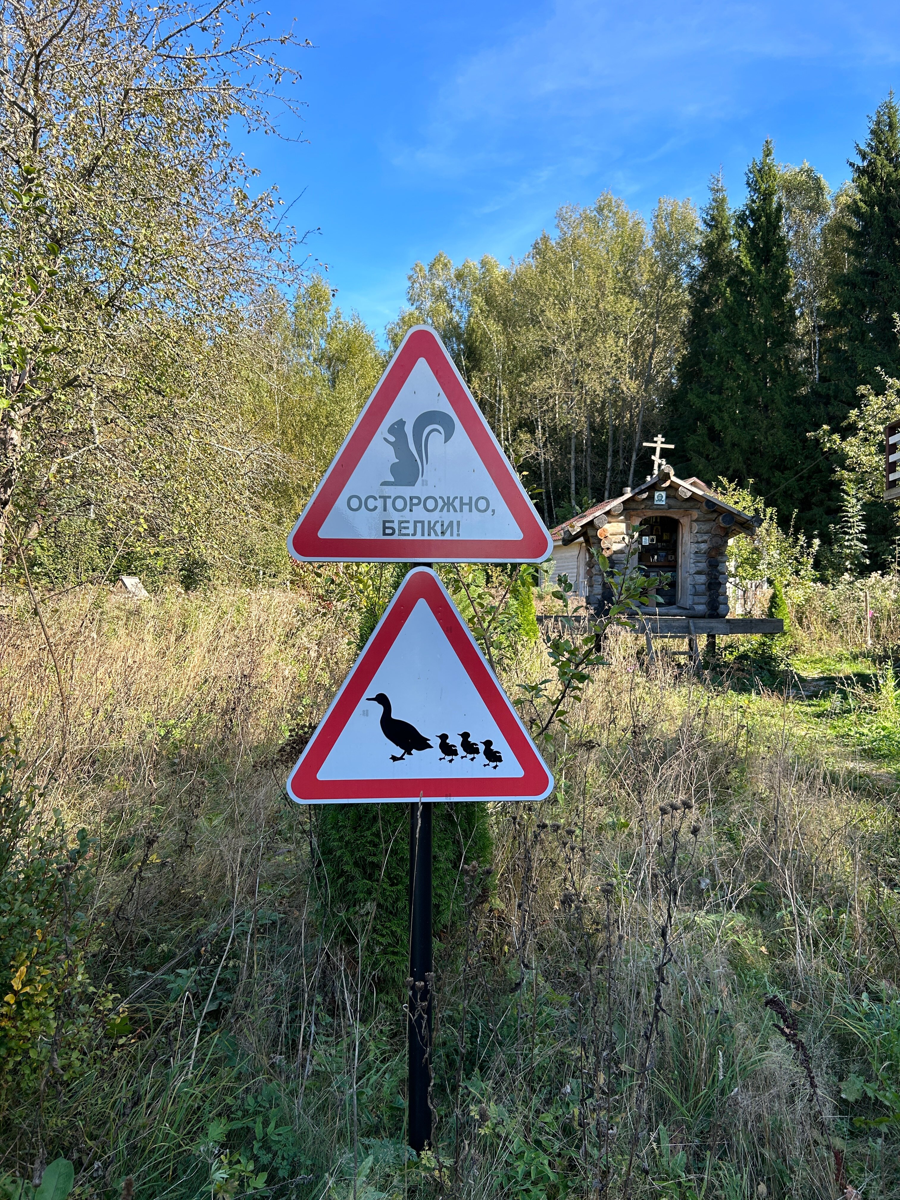 Фото Тцпио Экспедиция