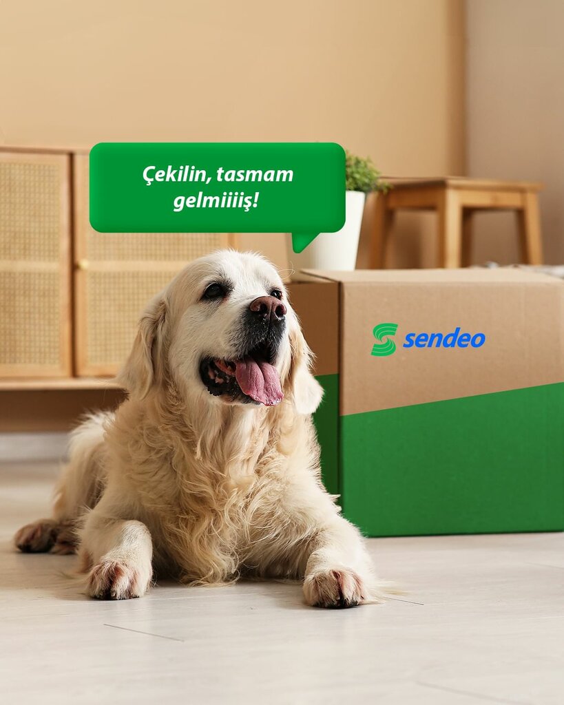 إحالة الشحن Sendeo Zeytinburnu ، اسطنبول، صورة