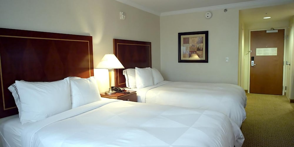 Фото Hotel Executive Suites