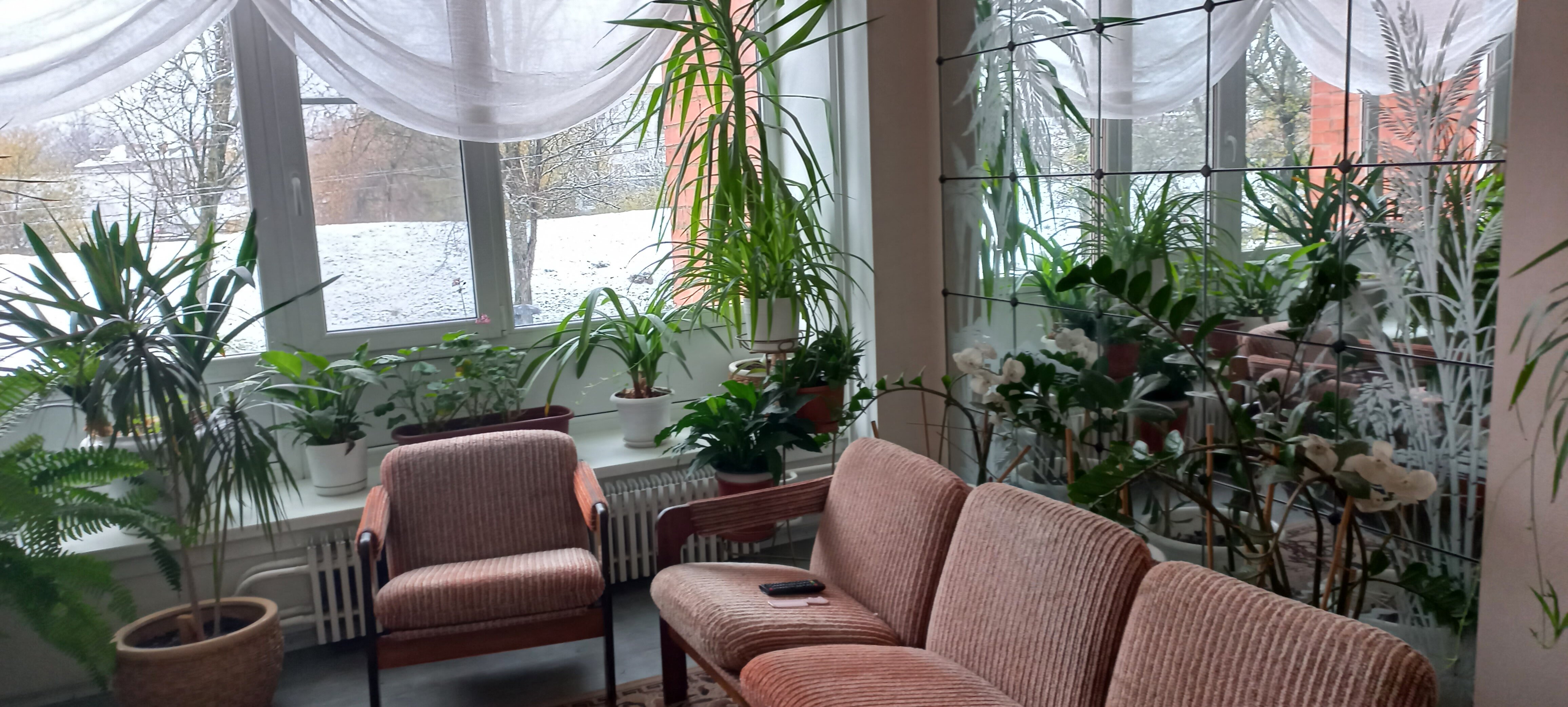 Фото Роза ветров