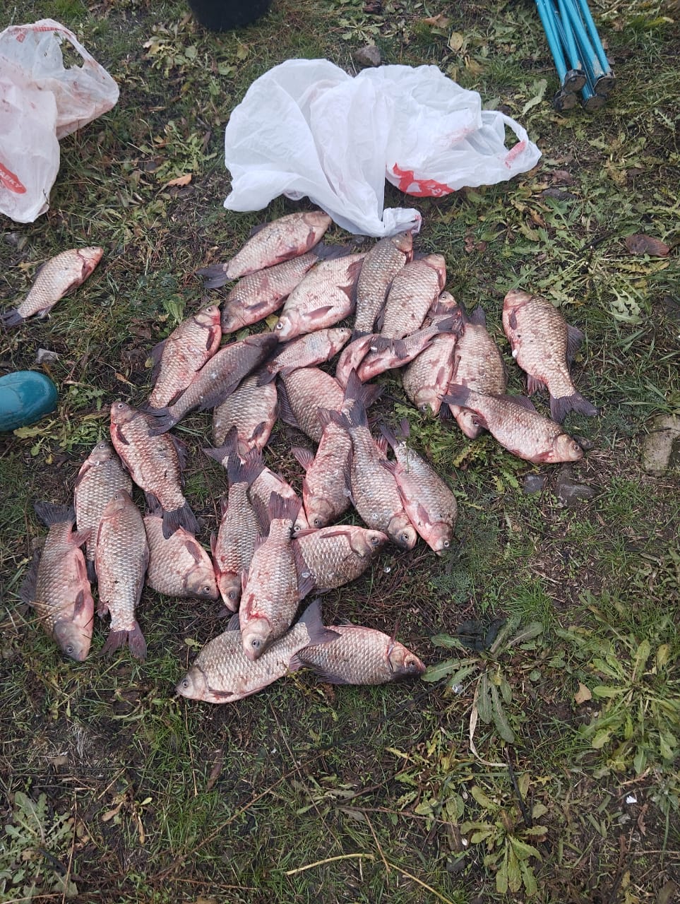 Фото Донская весна