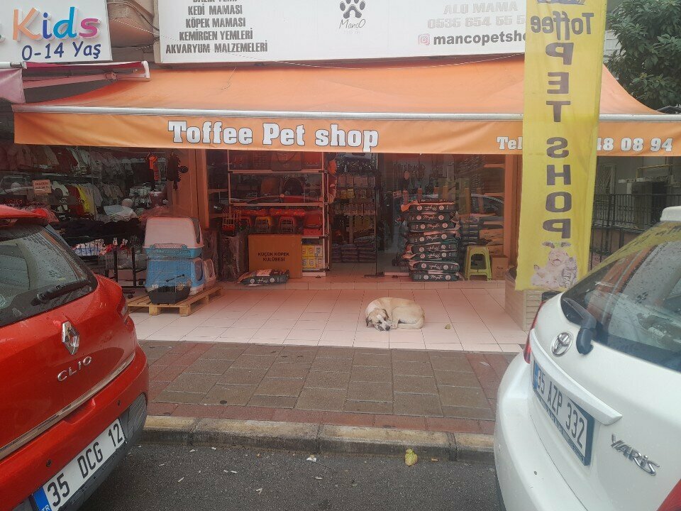 Pet shop Toffee, Izmir, photo