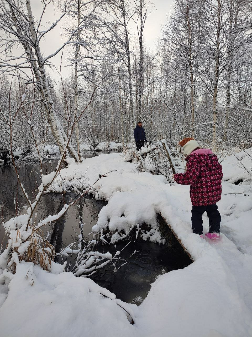 Фото Нуозьярви