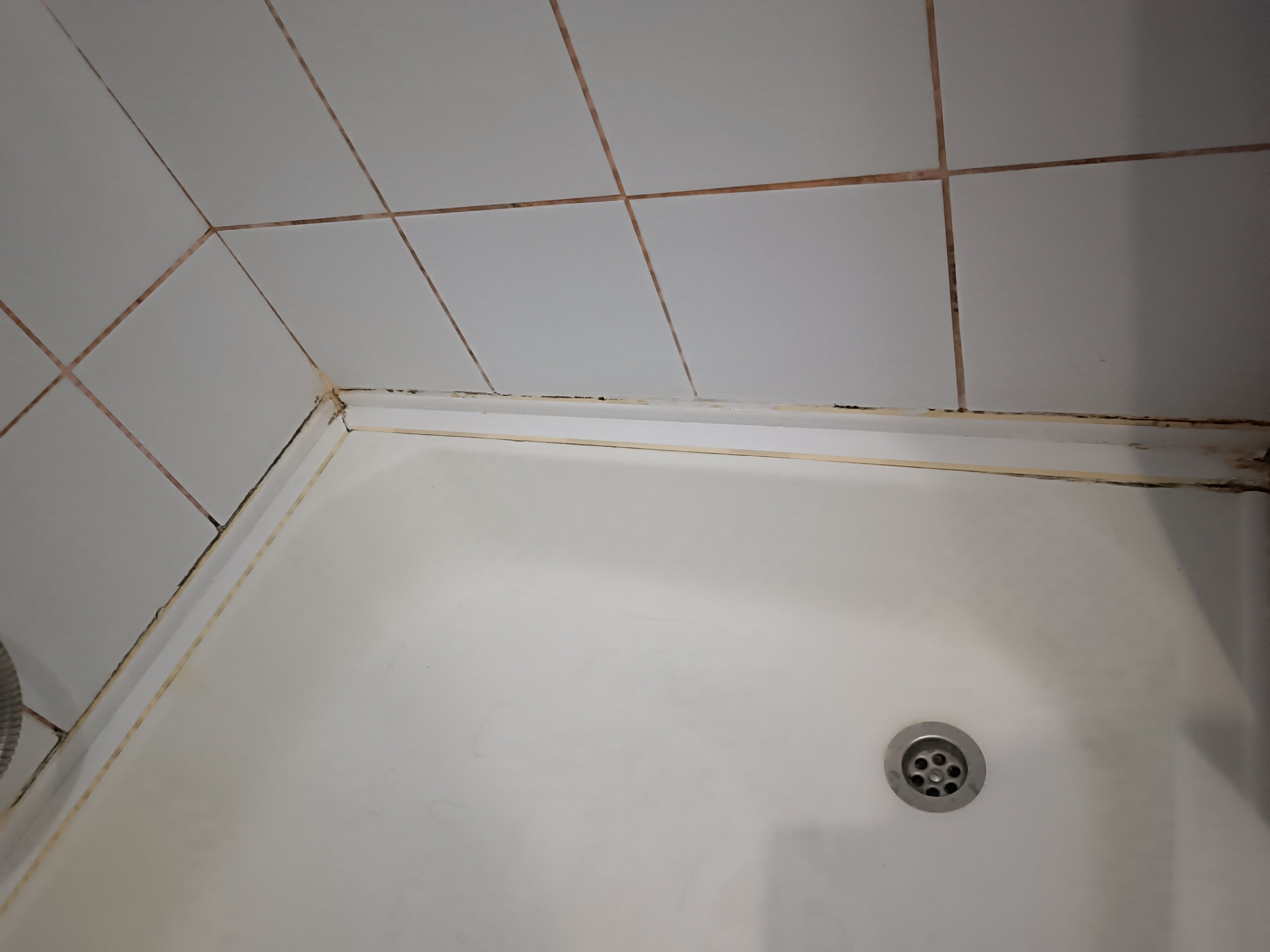 Фото Виктория