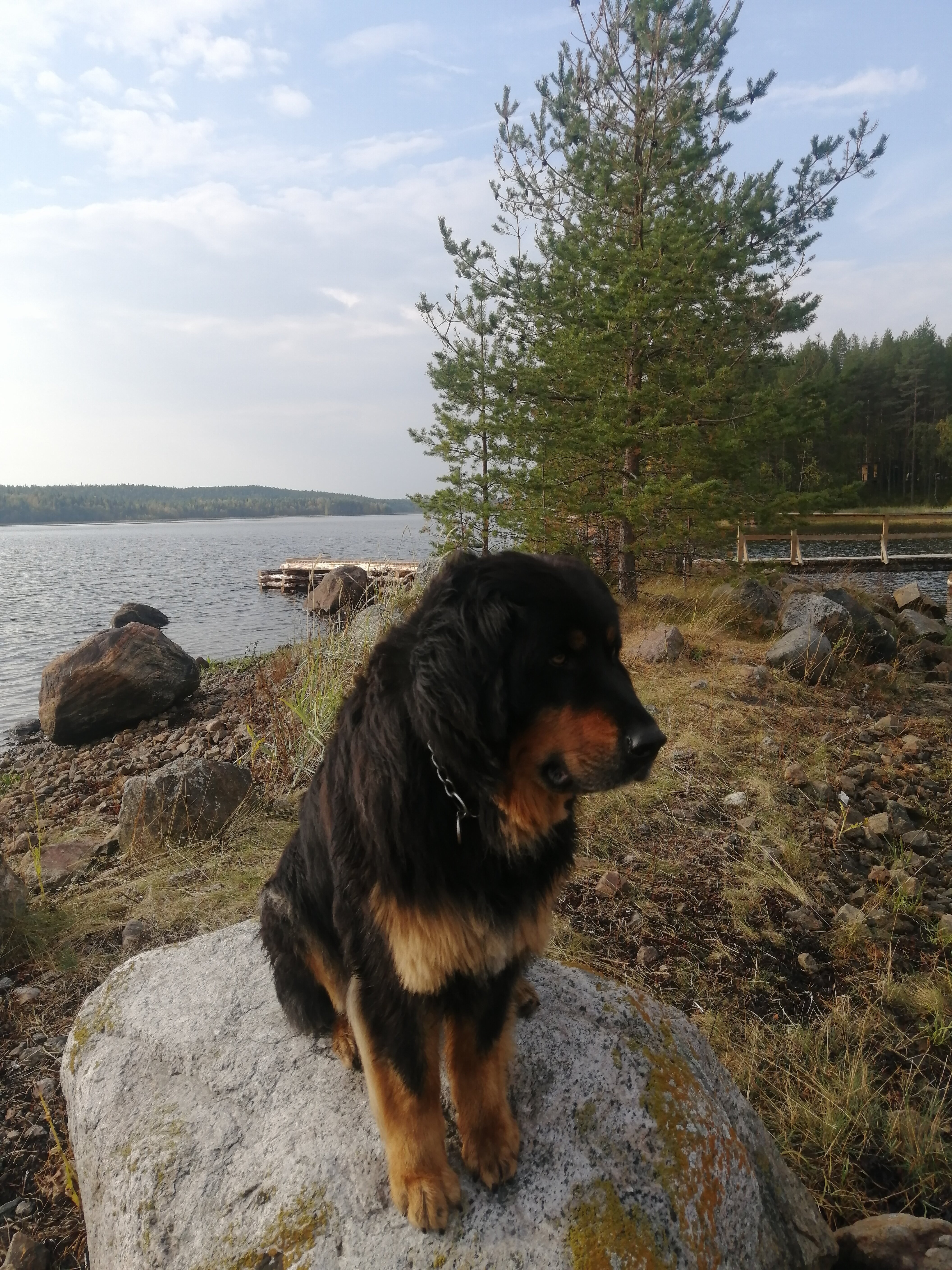 Фото Точка Притяжения