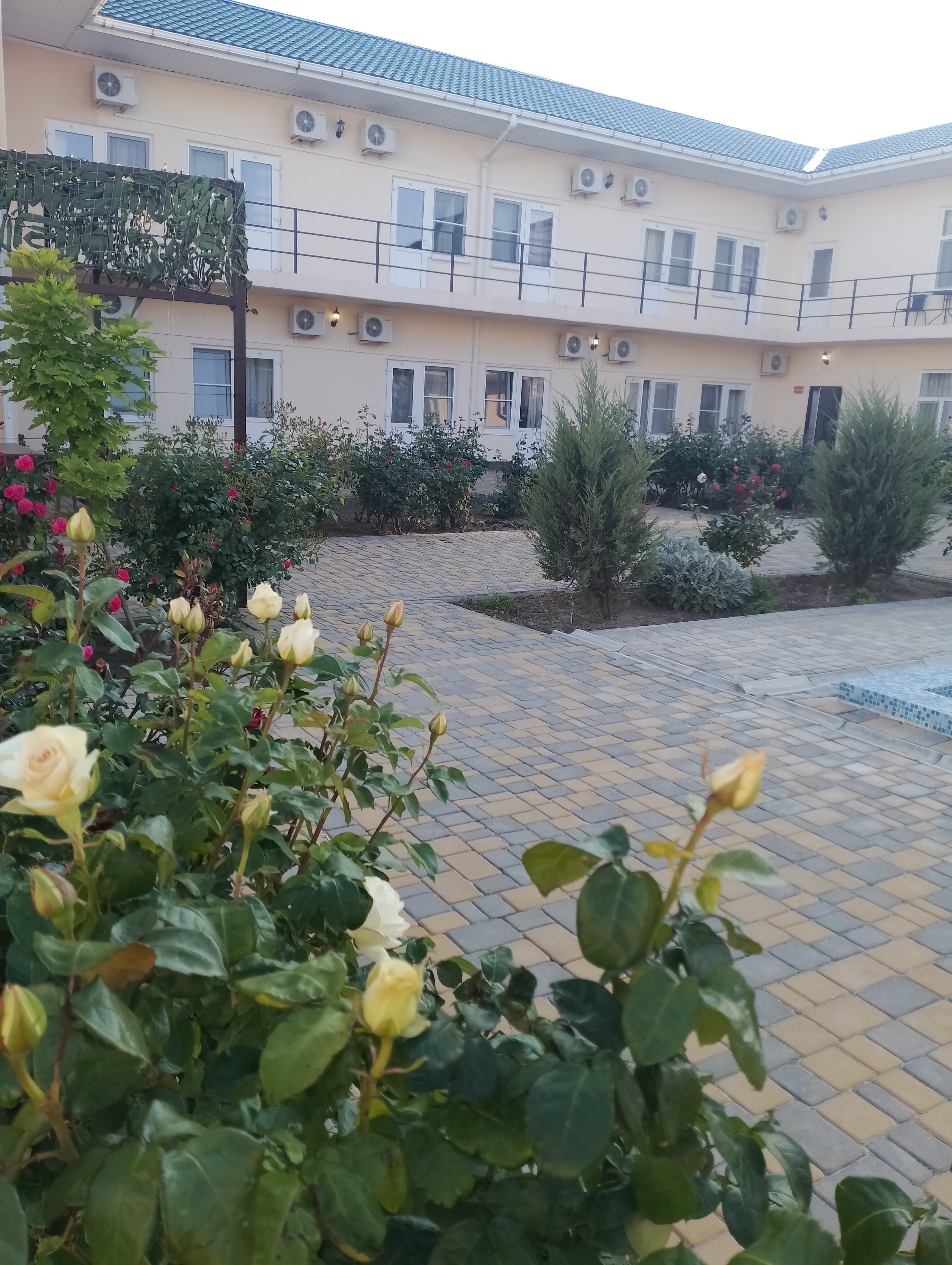 Фото Султан