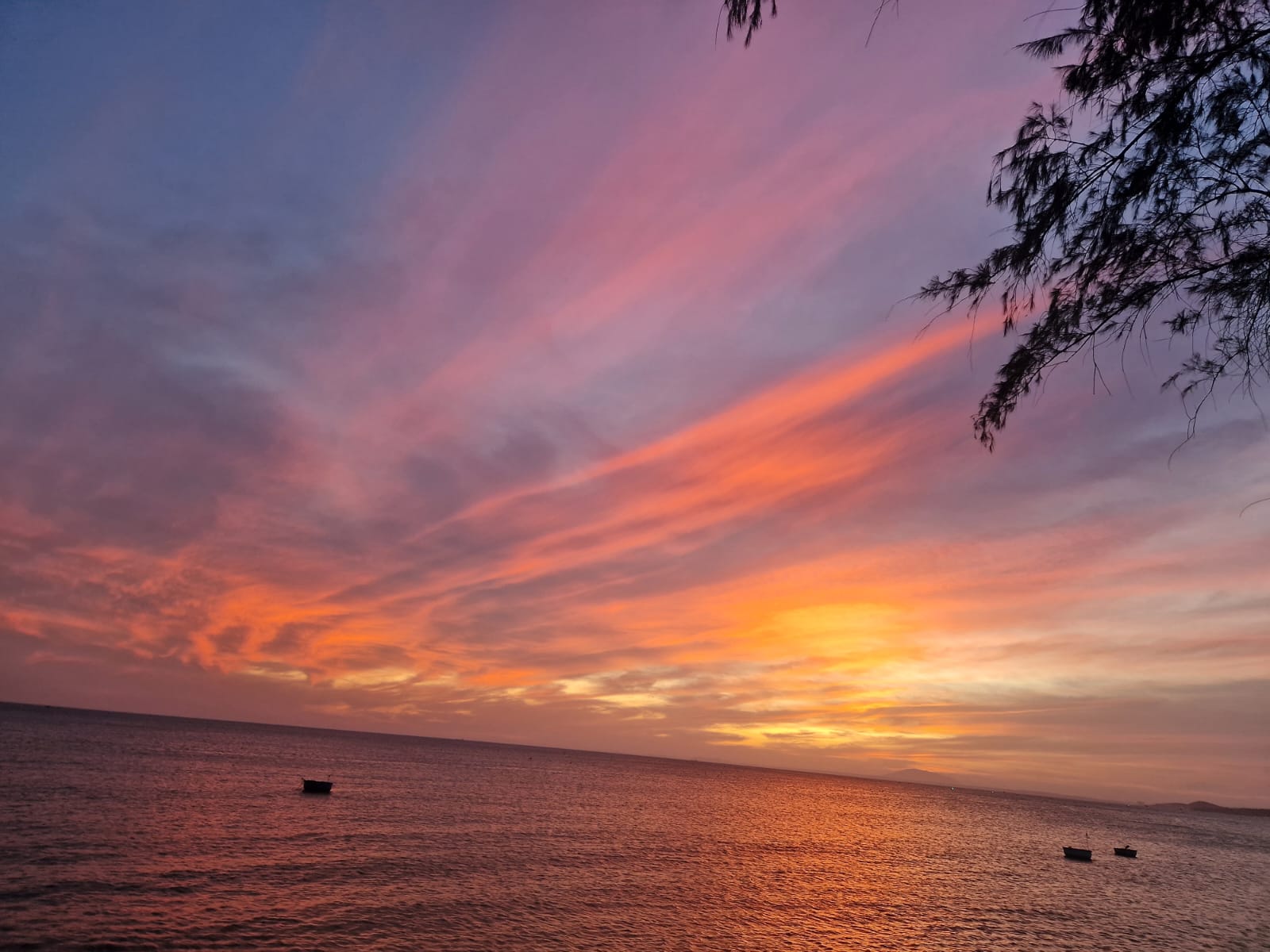 Фото Seahorse Resort & SPA