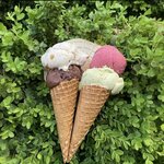 Nigde Oba Dondurma (Nigde, Niğde Merkez, Selçuk Mah., Selçuklu Cad., 3), ice cream