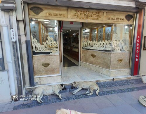 Topkapı Kuyumculuk Fotoğraf 3