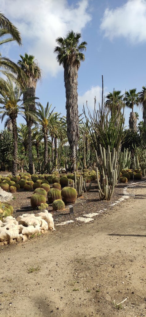 Park Ha-Kaktusim Garden, Tel Aviv, photo