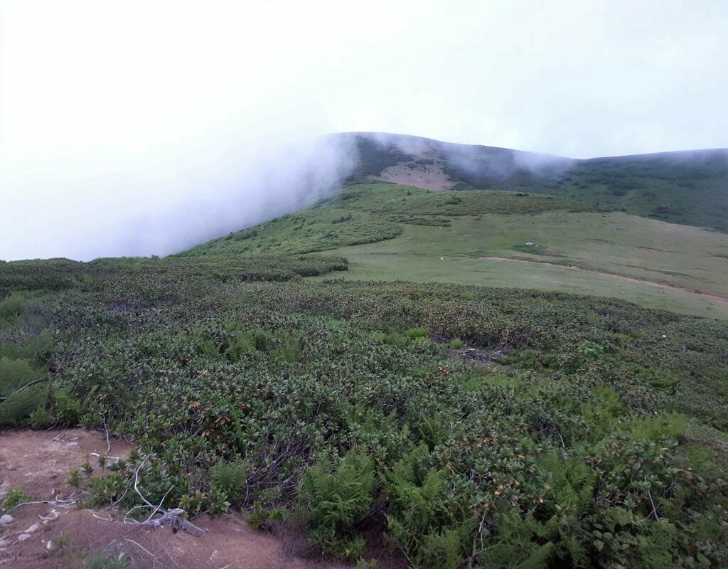 Place for picnic Korda Macahel, Borcka, photo