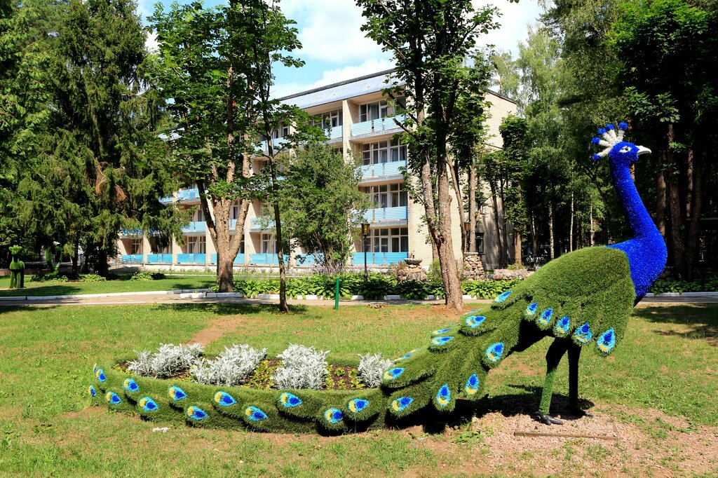 Sanatorium Lottsy, Vitebsk District, photo