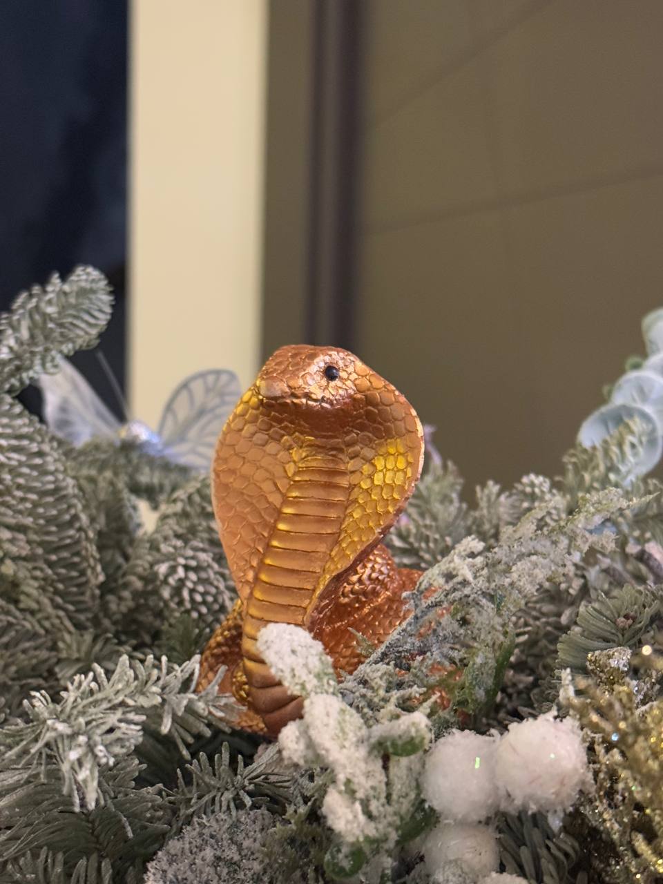 Фото Ивановоотель