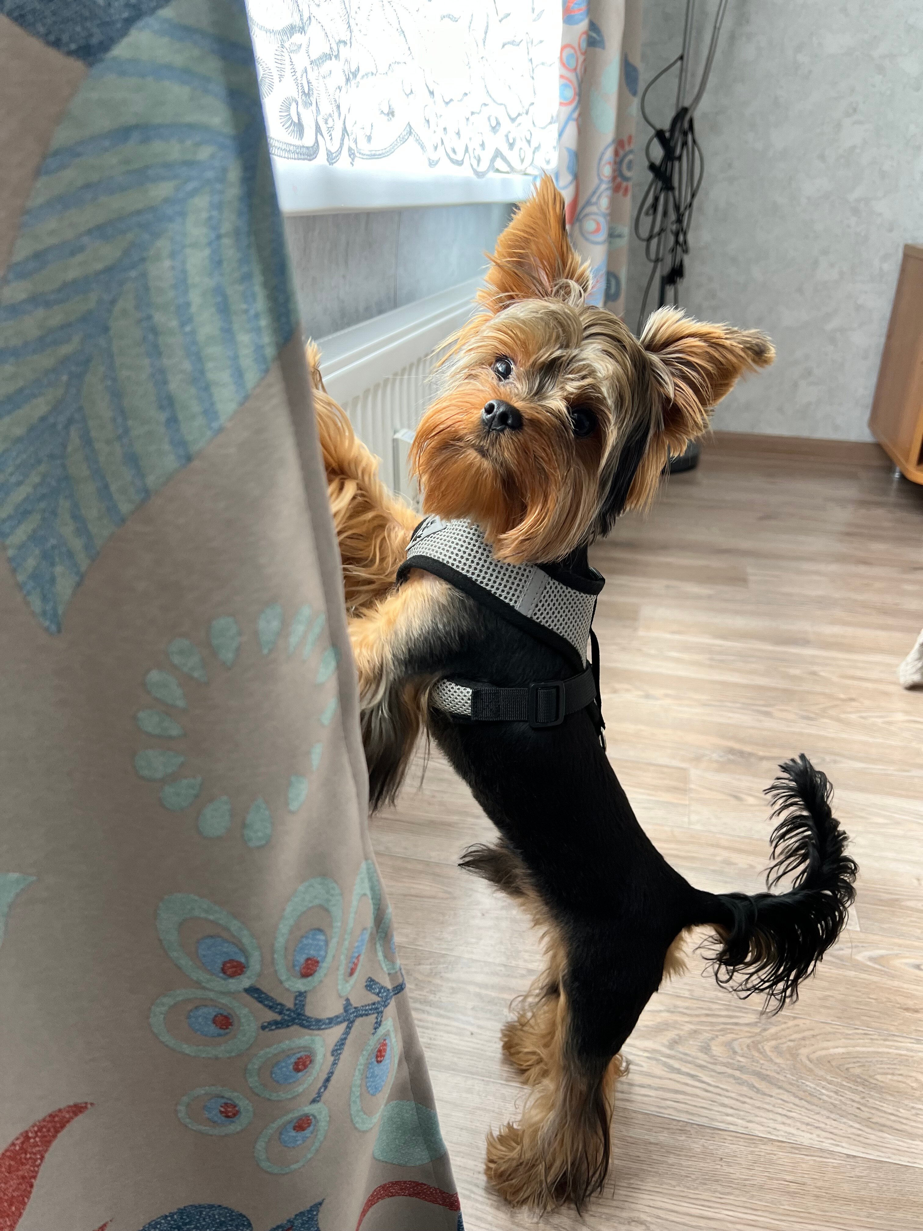 Фото Эко-студия у реки Волхов