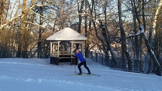 Фото Green Force