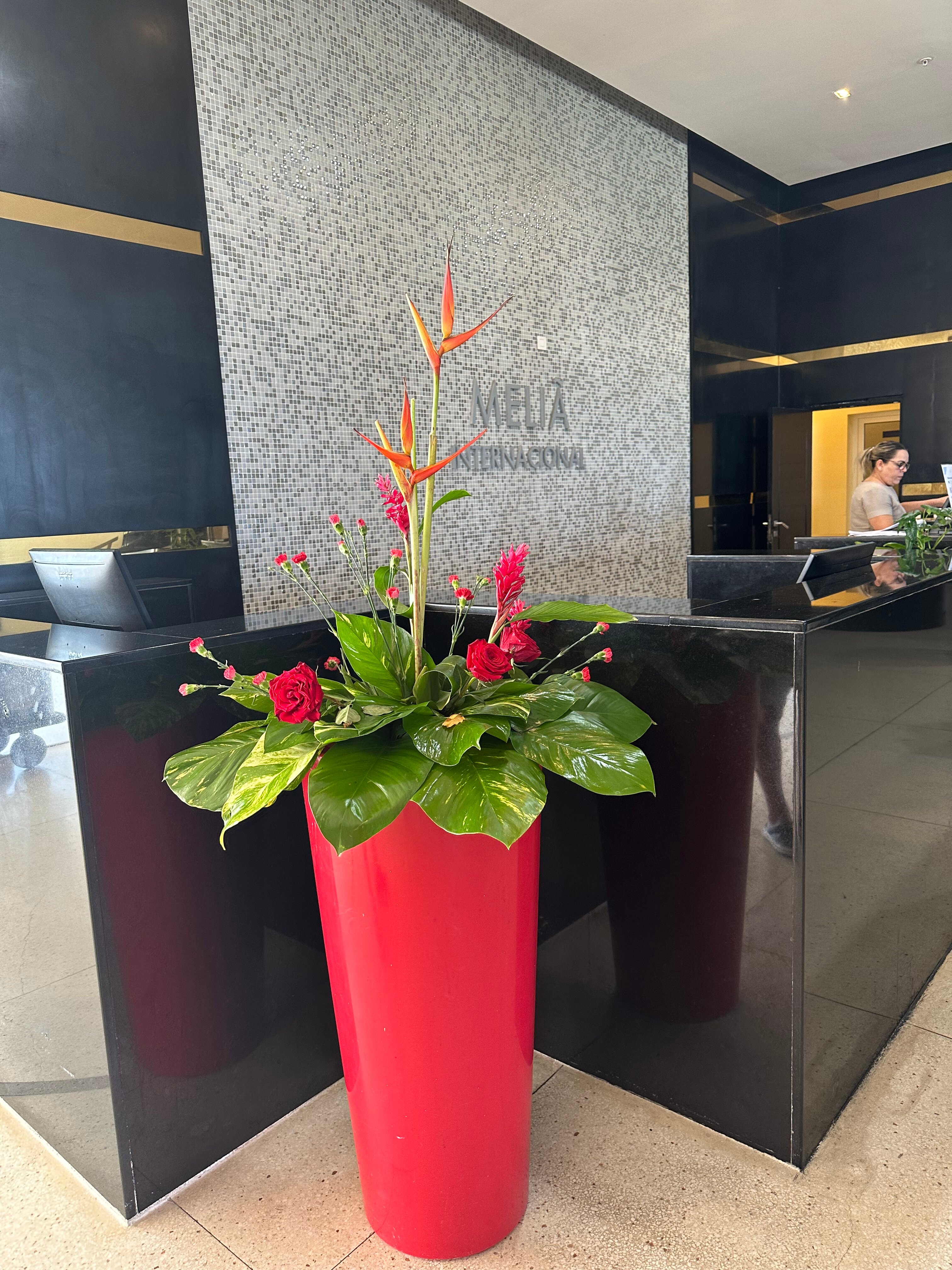 Фото Melia Internacional