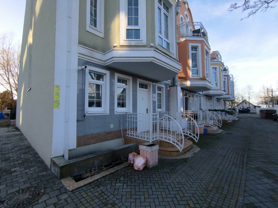 Фото Белый лотос