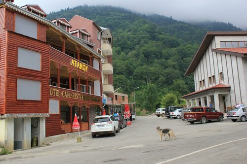 Гостиница Atakoy Hotel Cafe Restaurant в Чайкаре