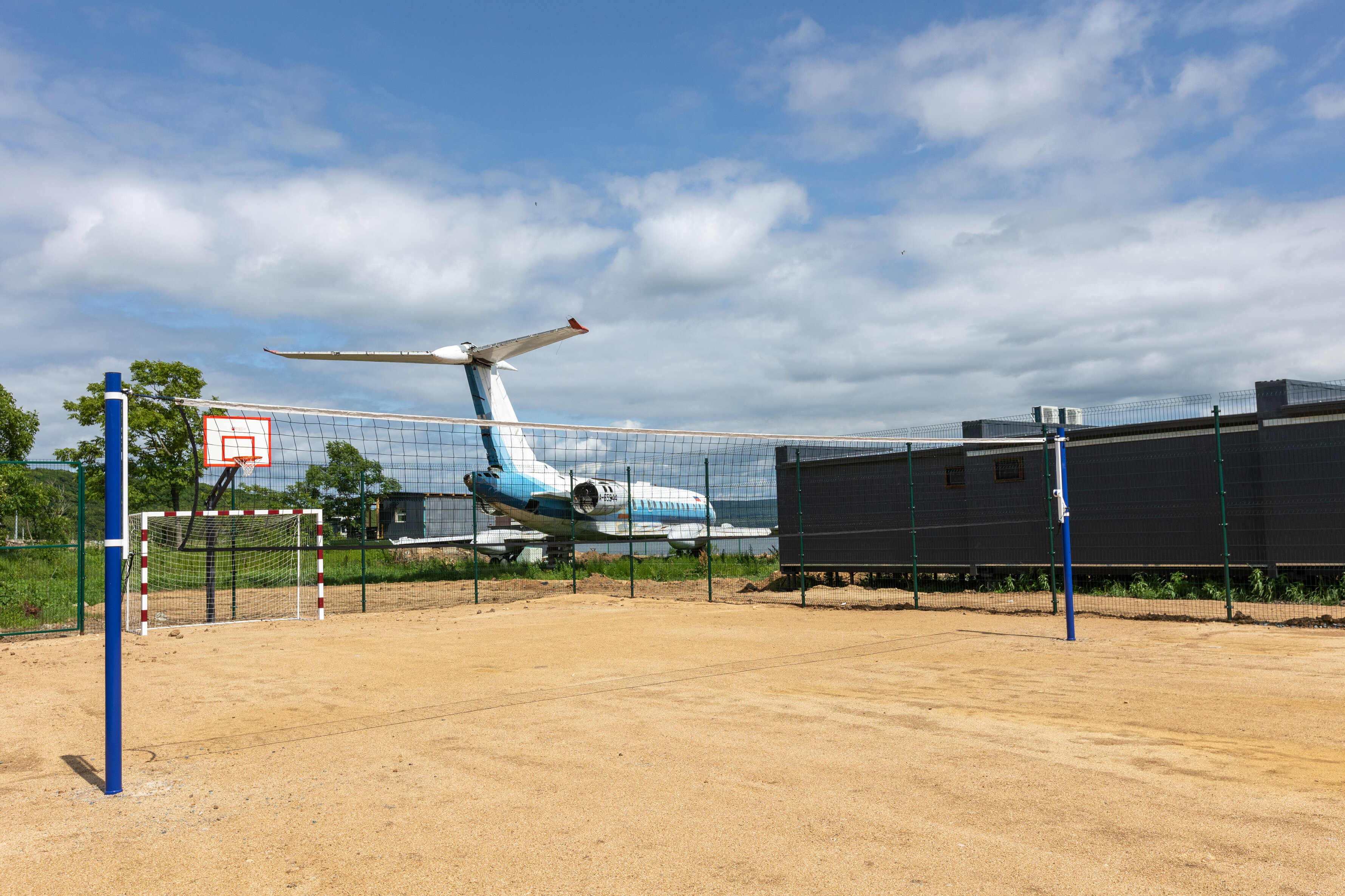 Фото Лазурная черепаха