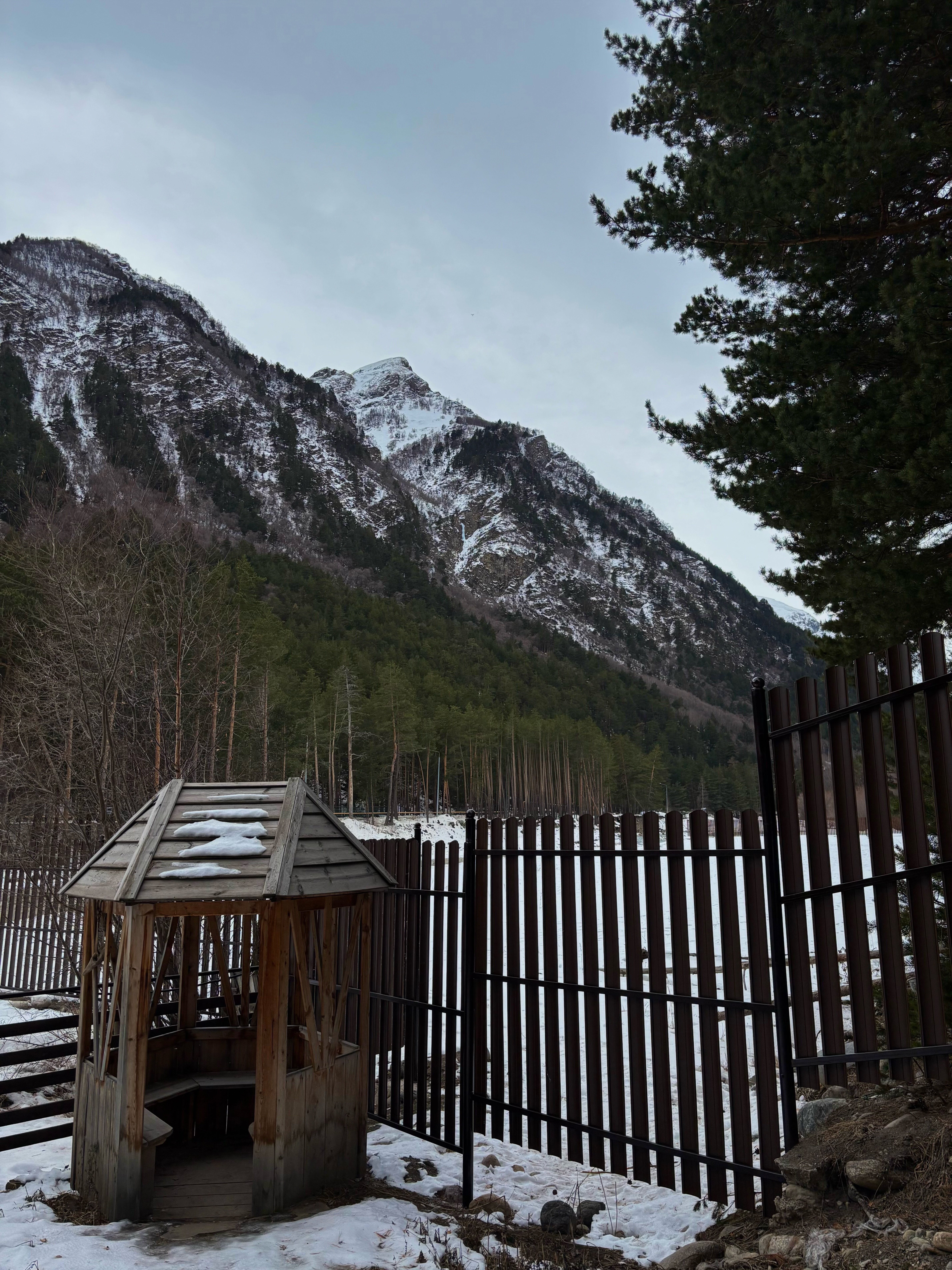 Фото Метелица Эльбрус