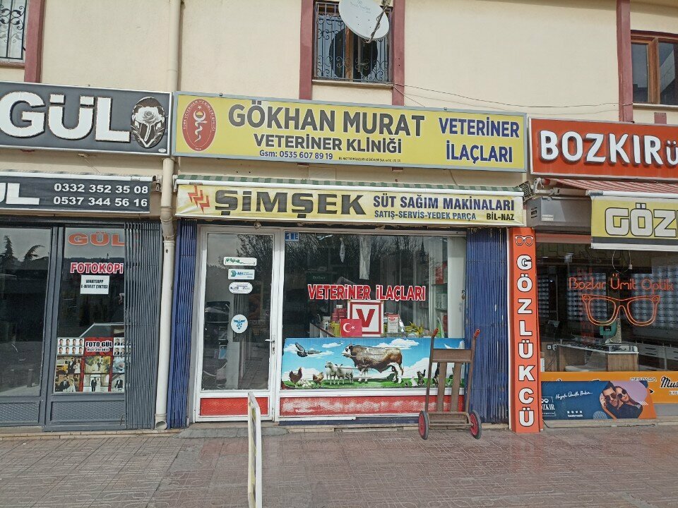 Veterinary clinic Gokhan Murat Veterinary Medicines, Konya, photo