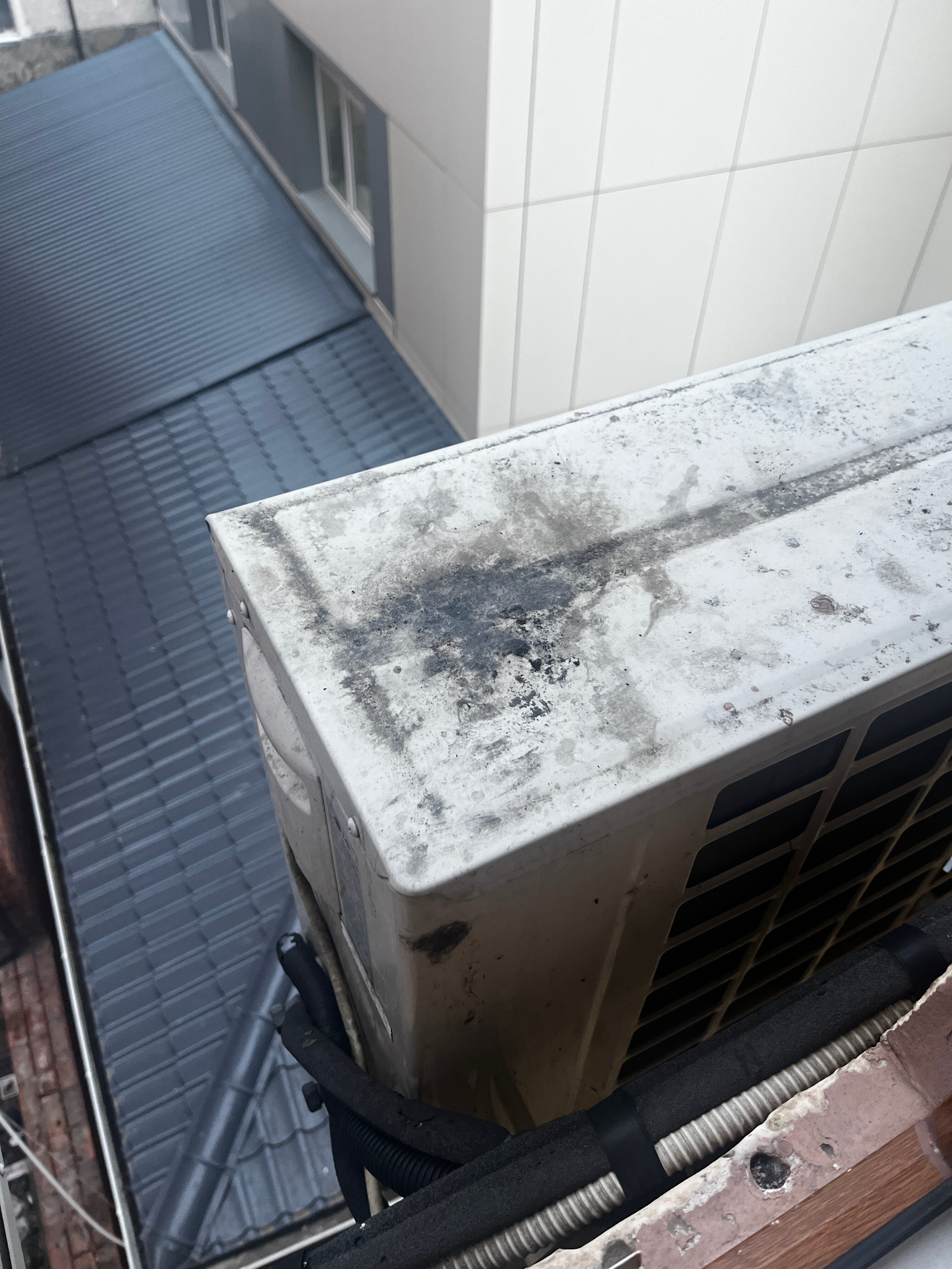 Фото Ростов Отель