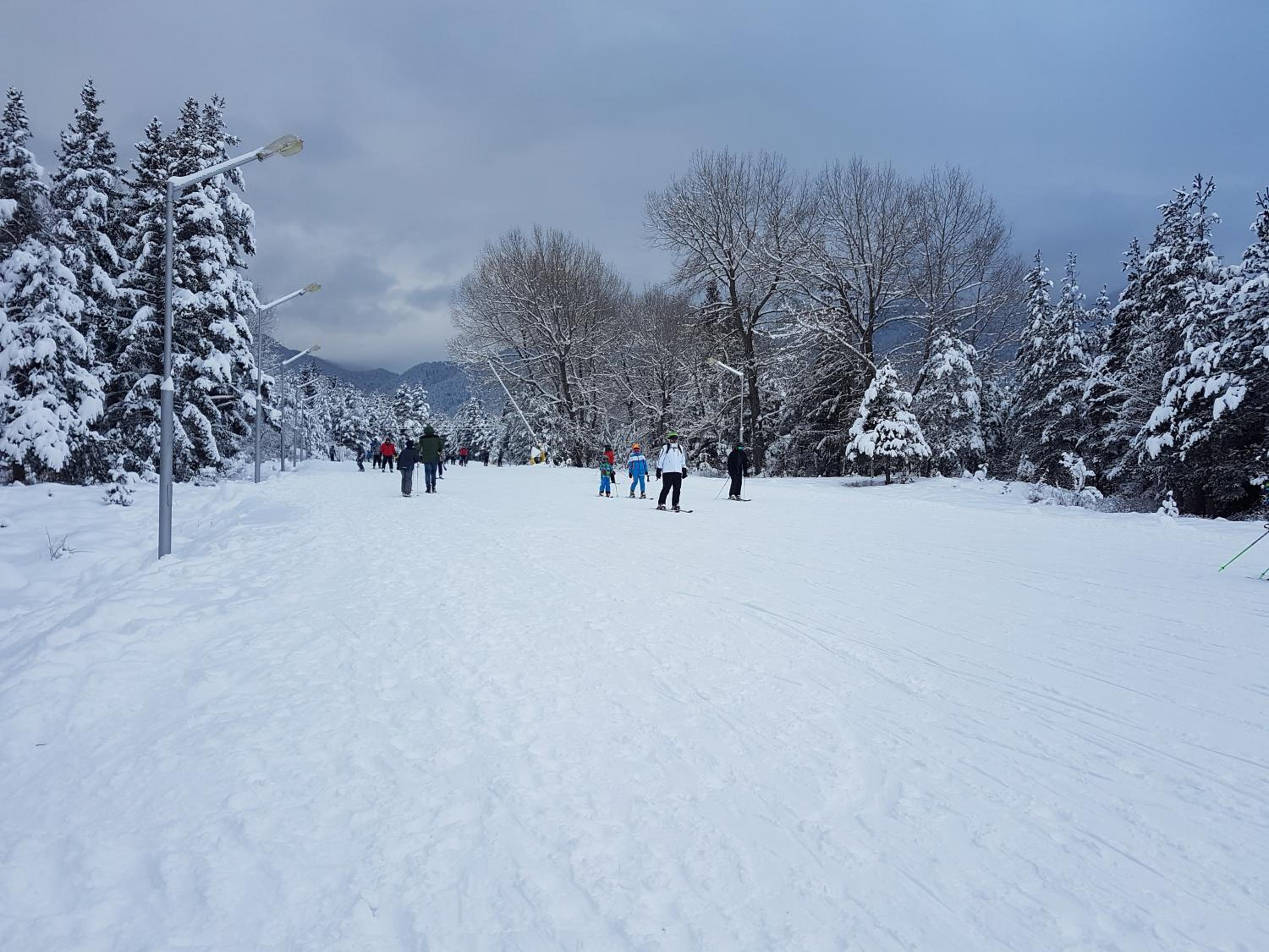 Фото Mountain View Resort