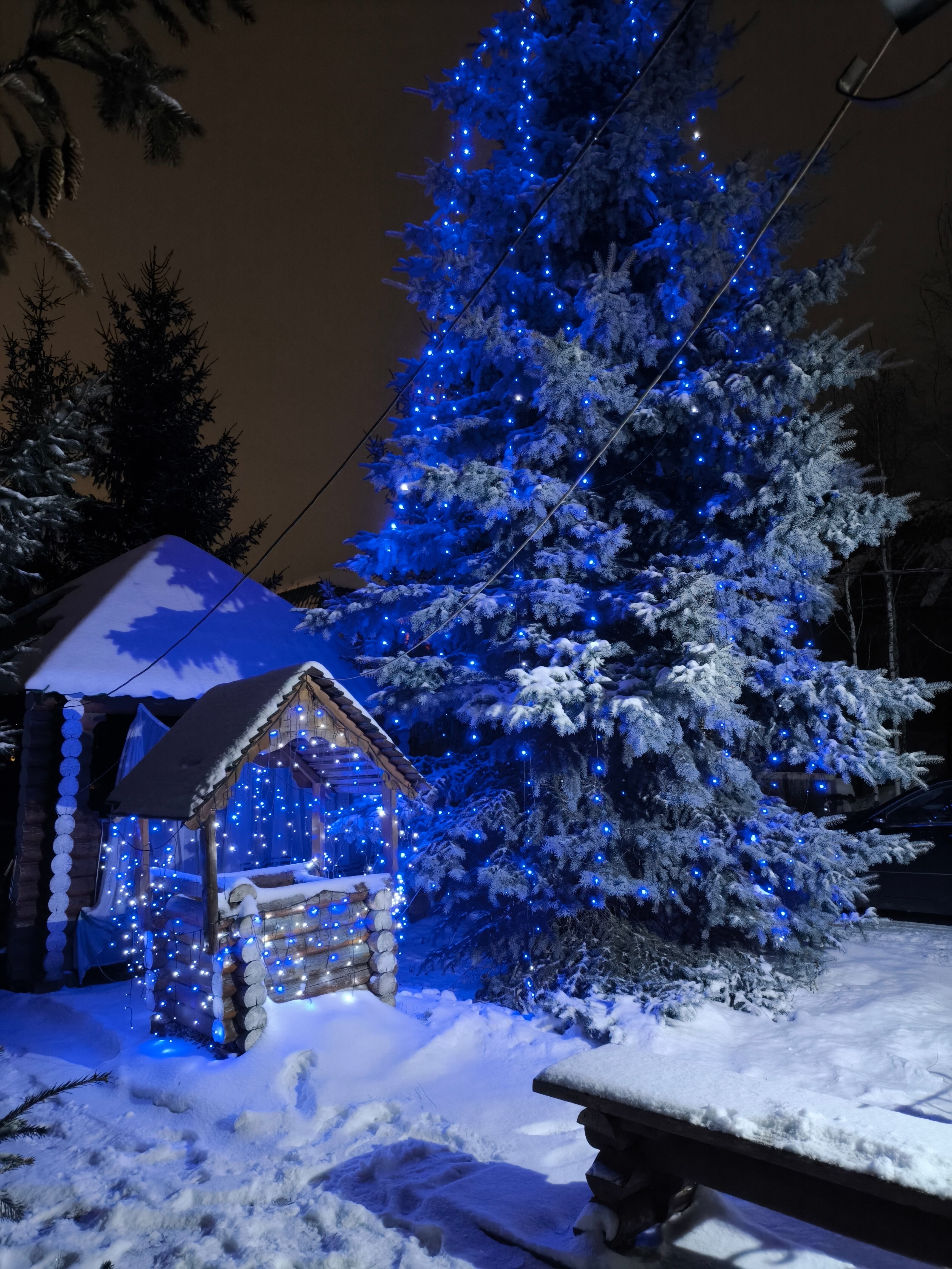 Фото Десятка