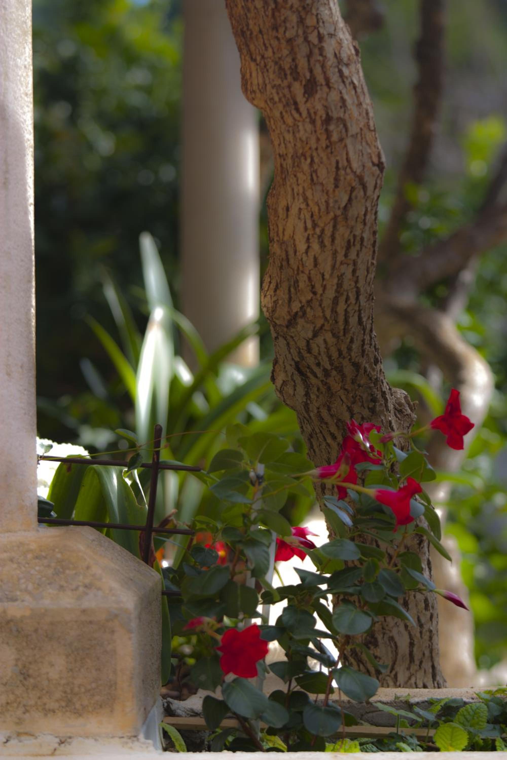 Фото Green Park Apartments