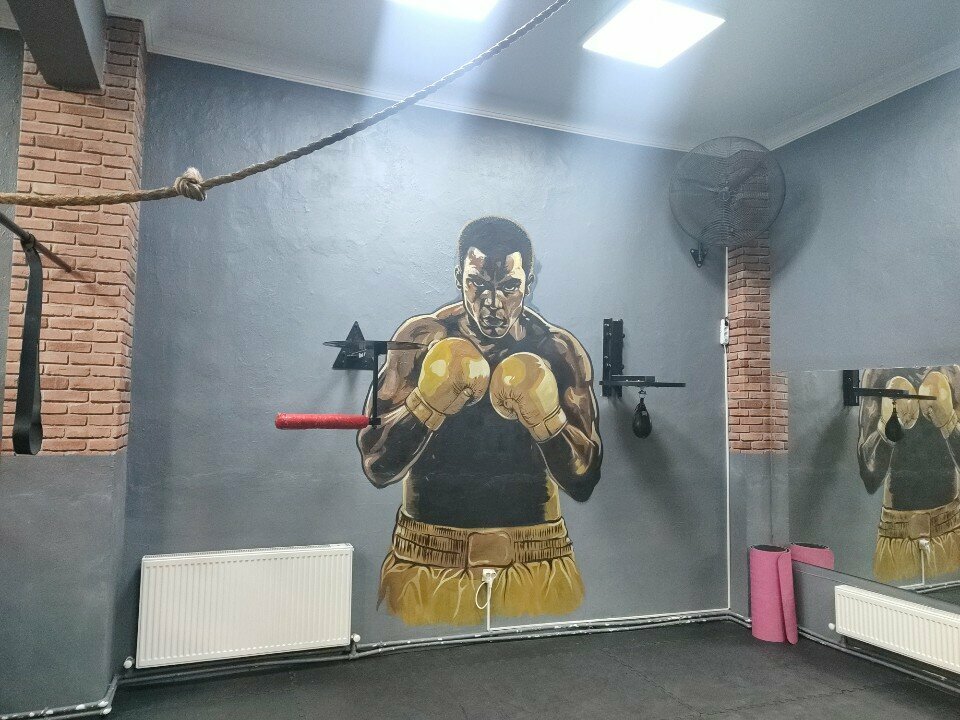 Sports club Golden Gloves Boxing Academy, Istanbul, photo