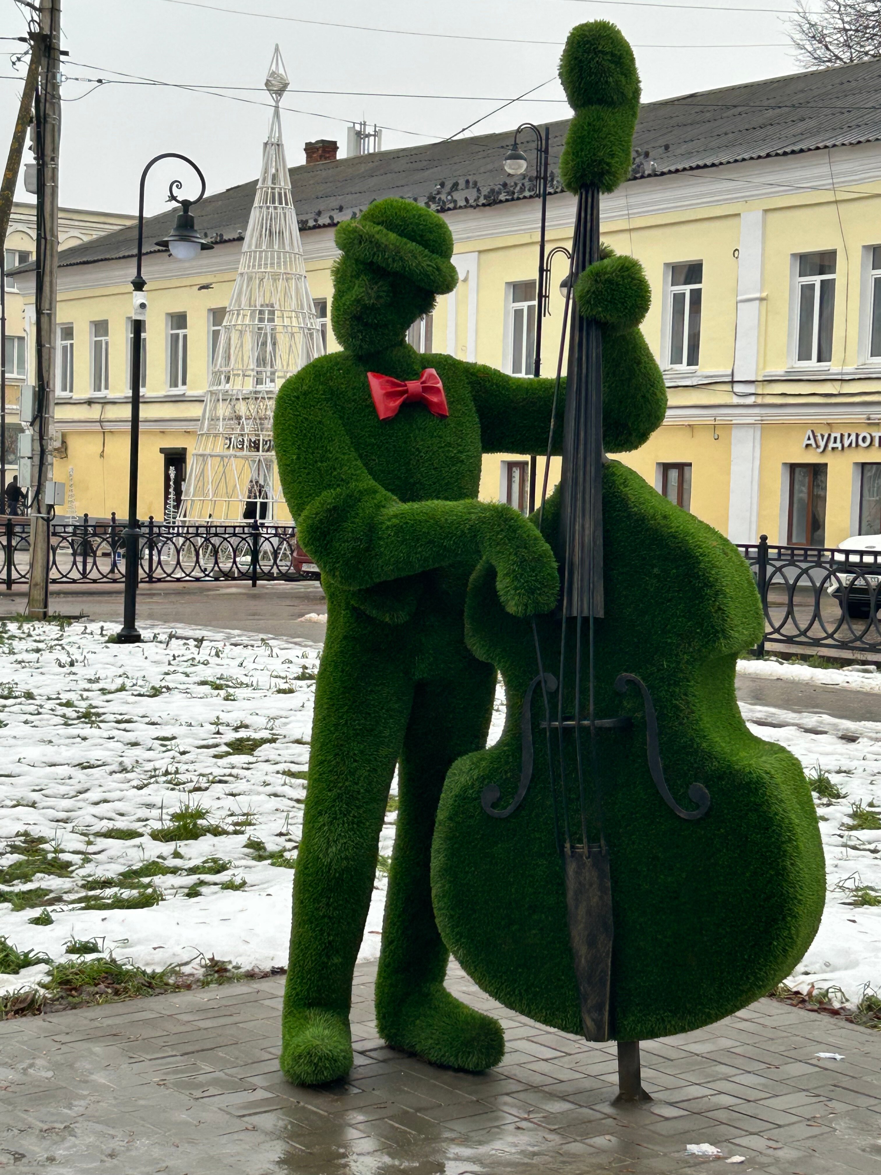 Фото Боровичи