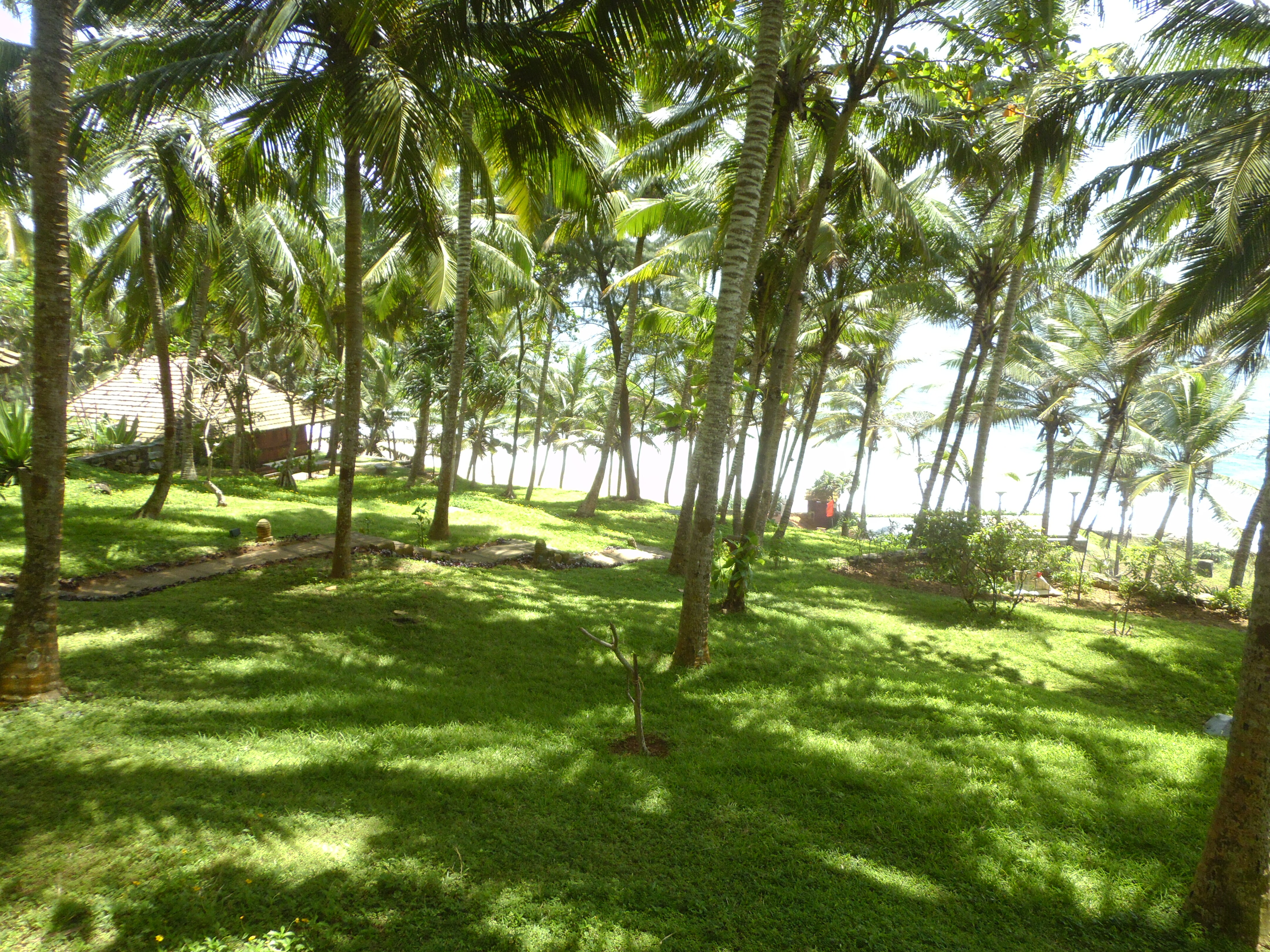 Фото Niraamaya Surya Samudra