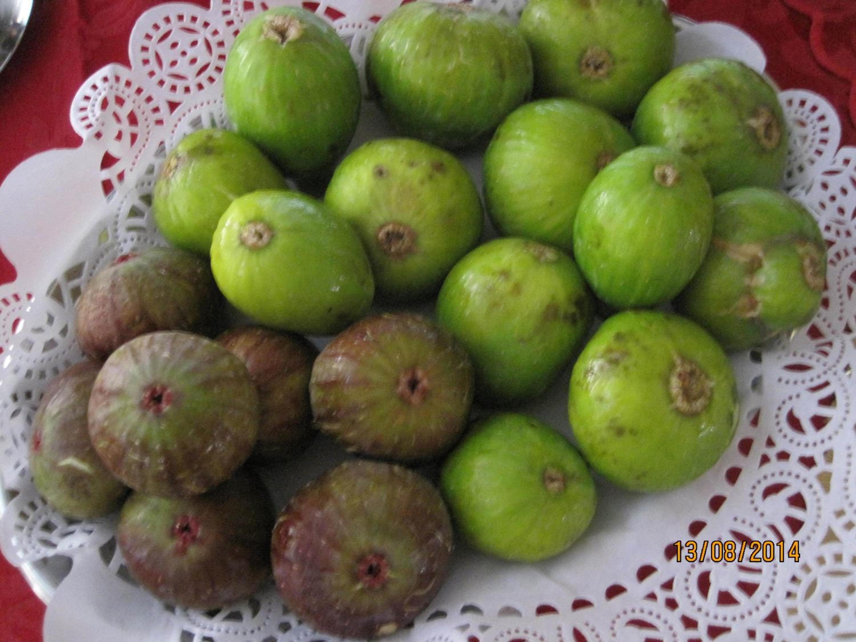 Фото Casa Matilde