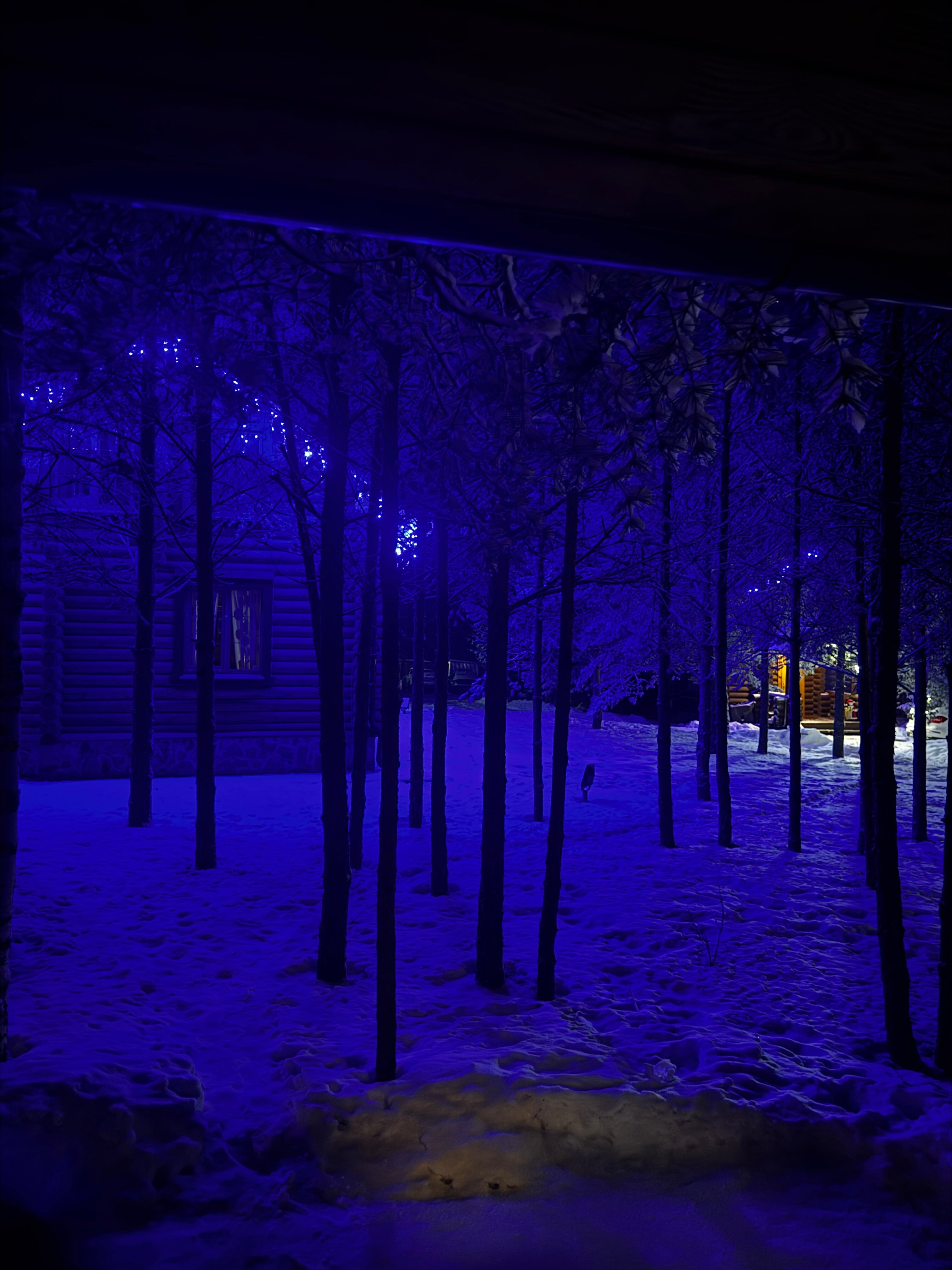 Фото Усадьба Куртюга