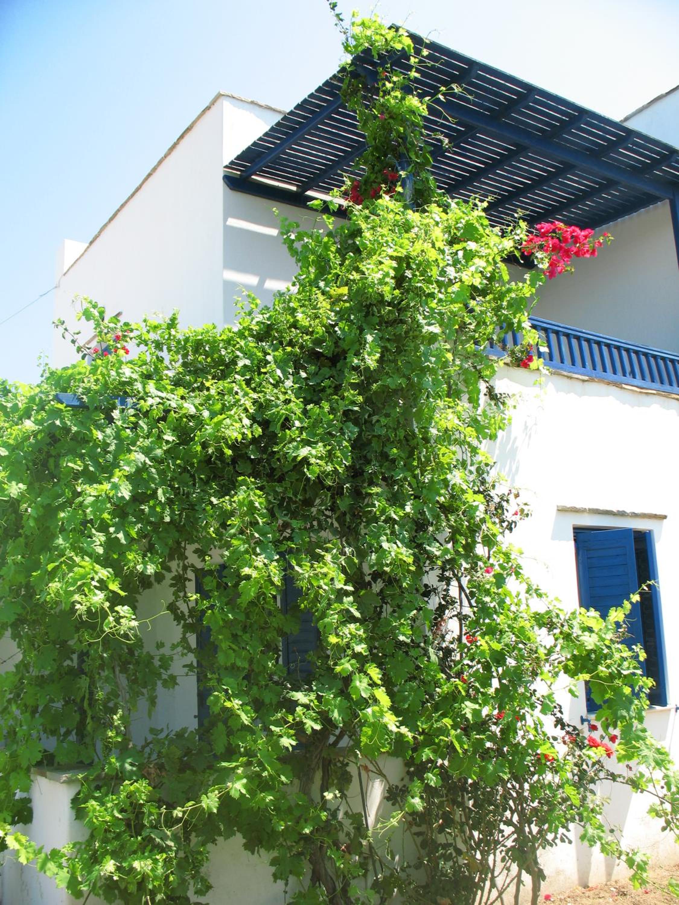 Фото Mavromatis Studios