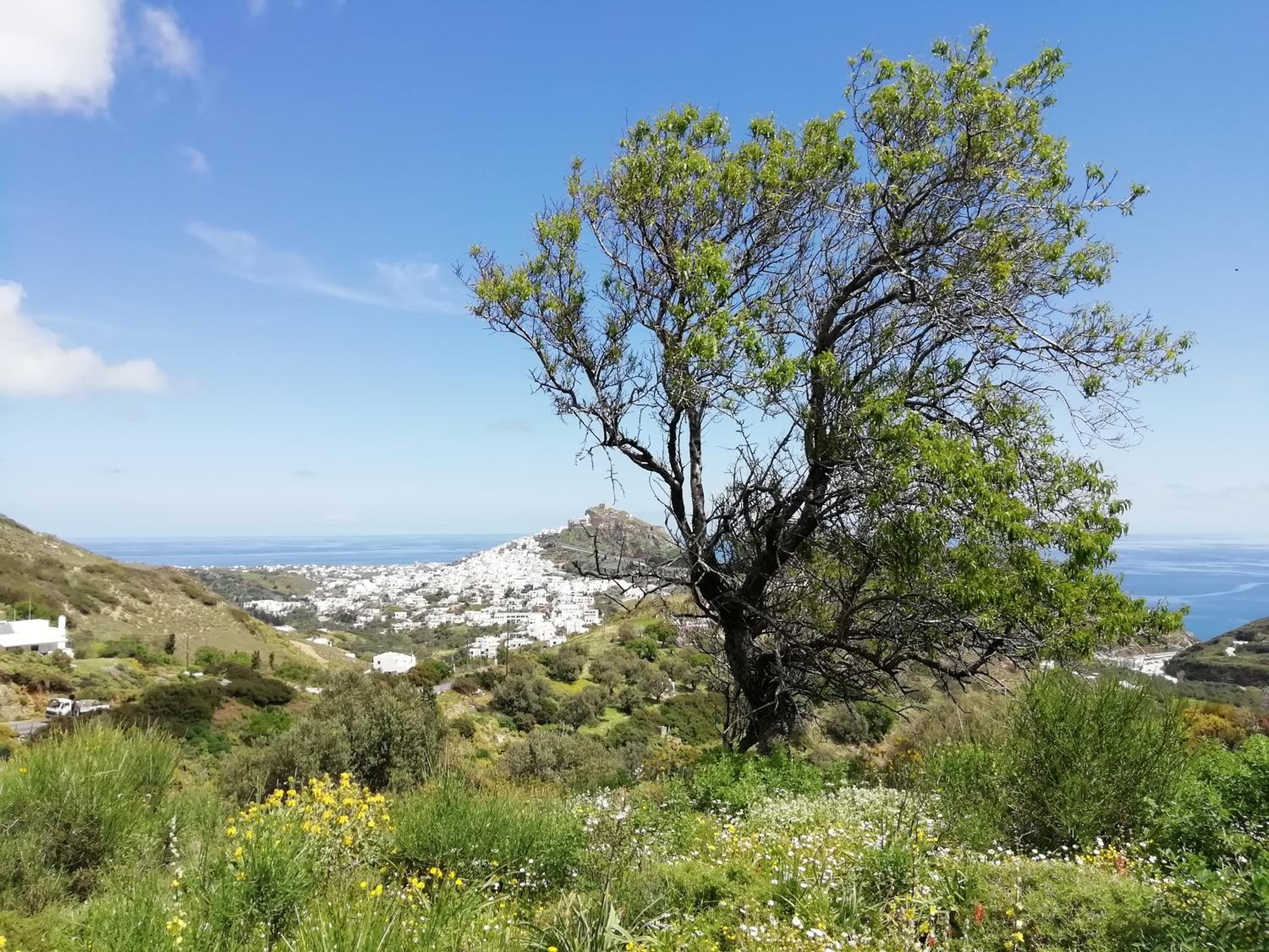 Фото Vina Beach Hotel