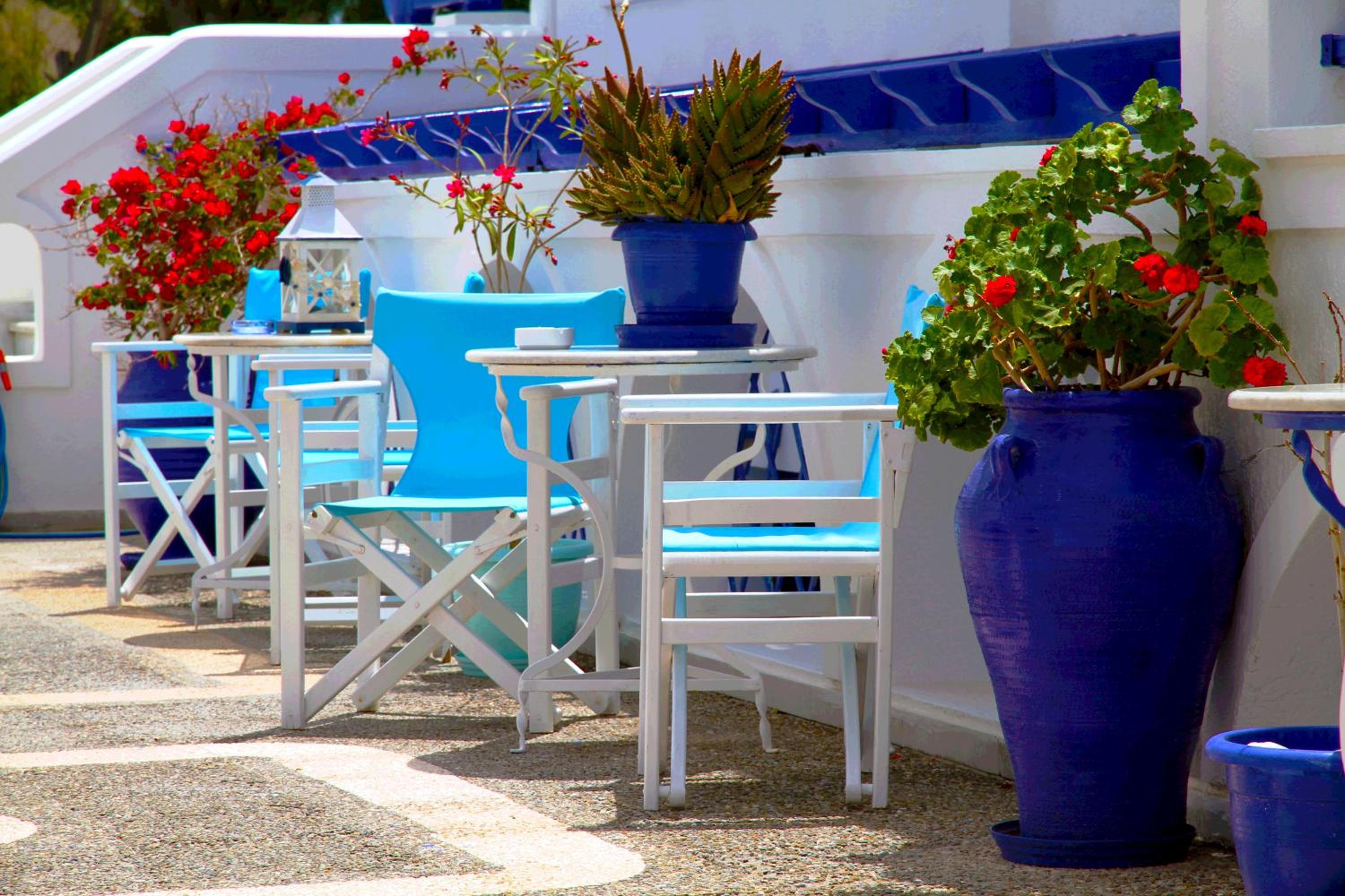 Фото Samson's Village