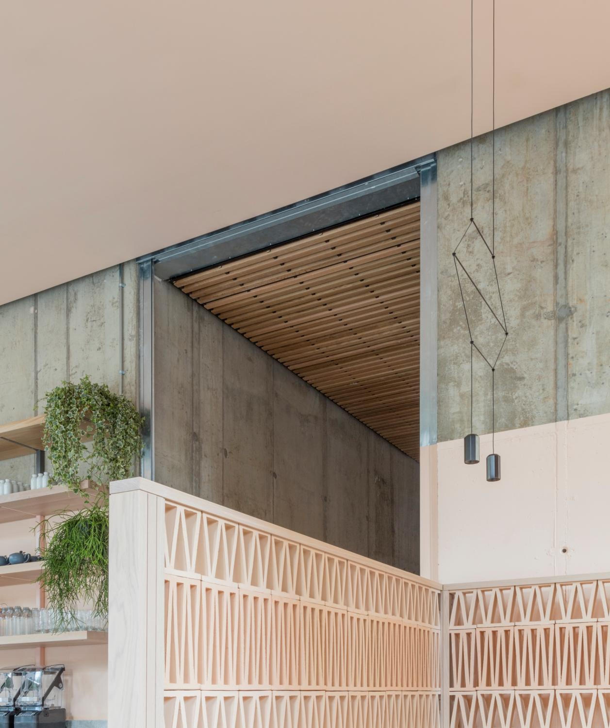 Фото Leman Locke