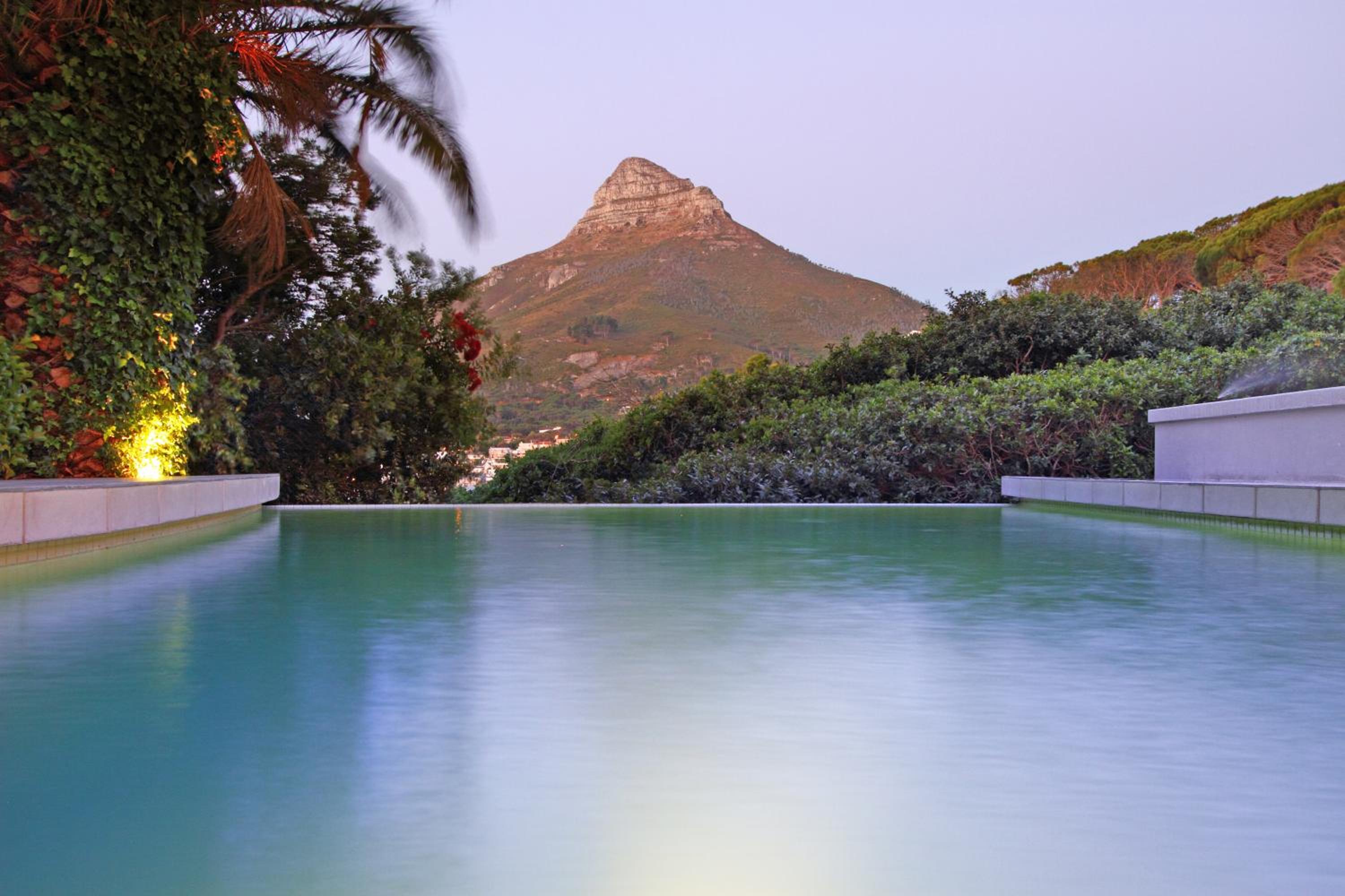 Фото Lion's View