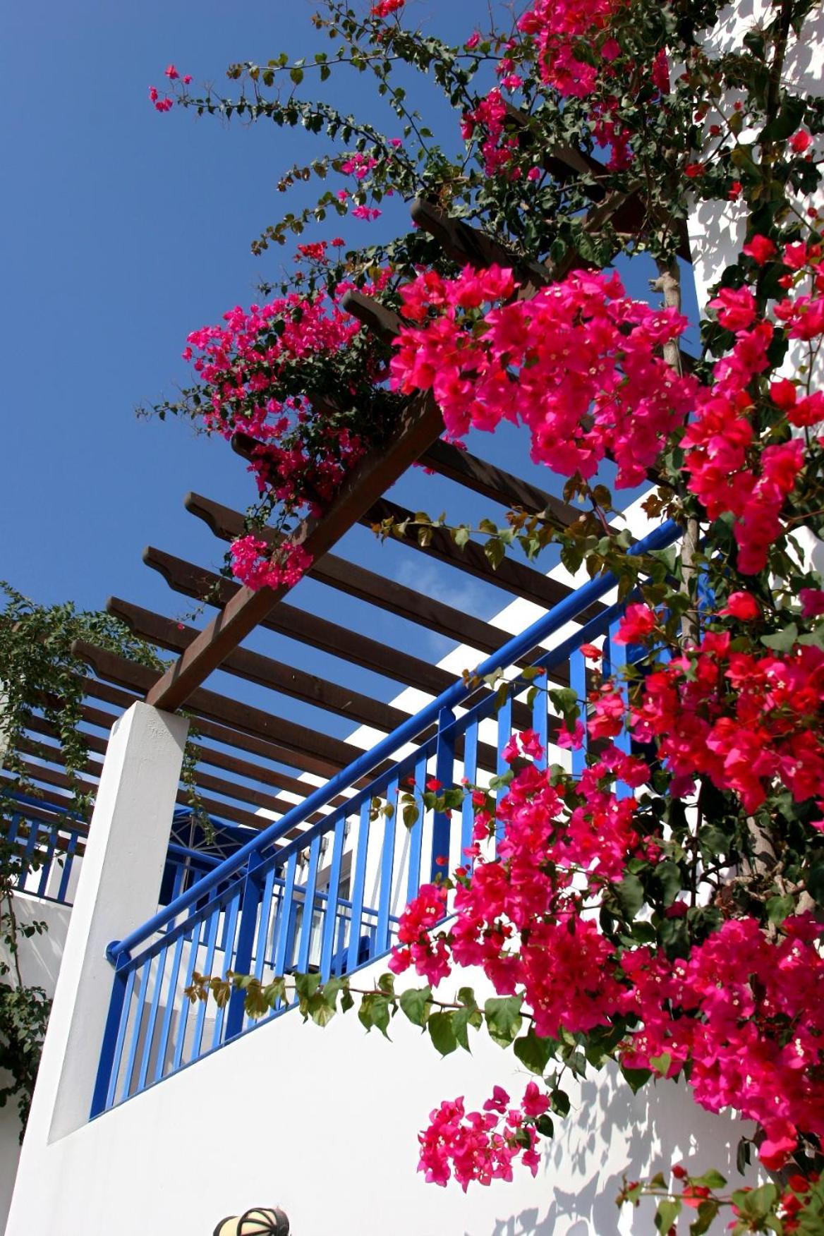 Фото Aliathon Aegean