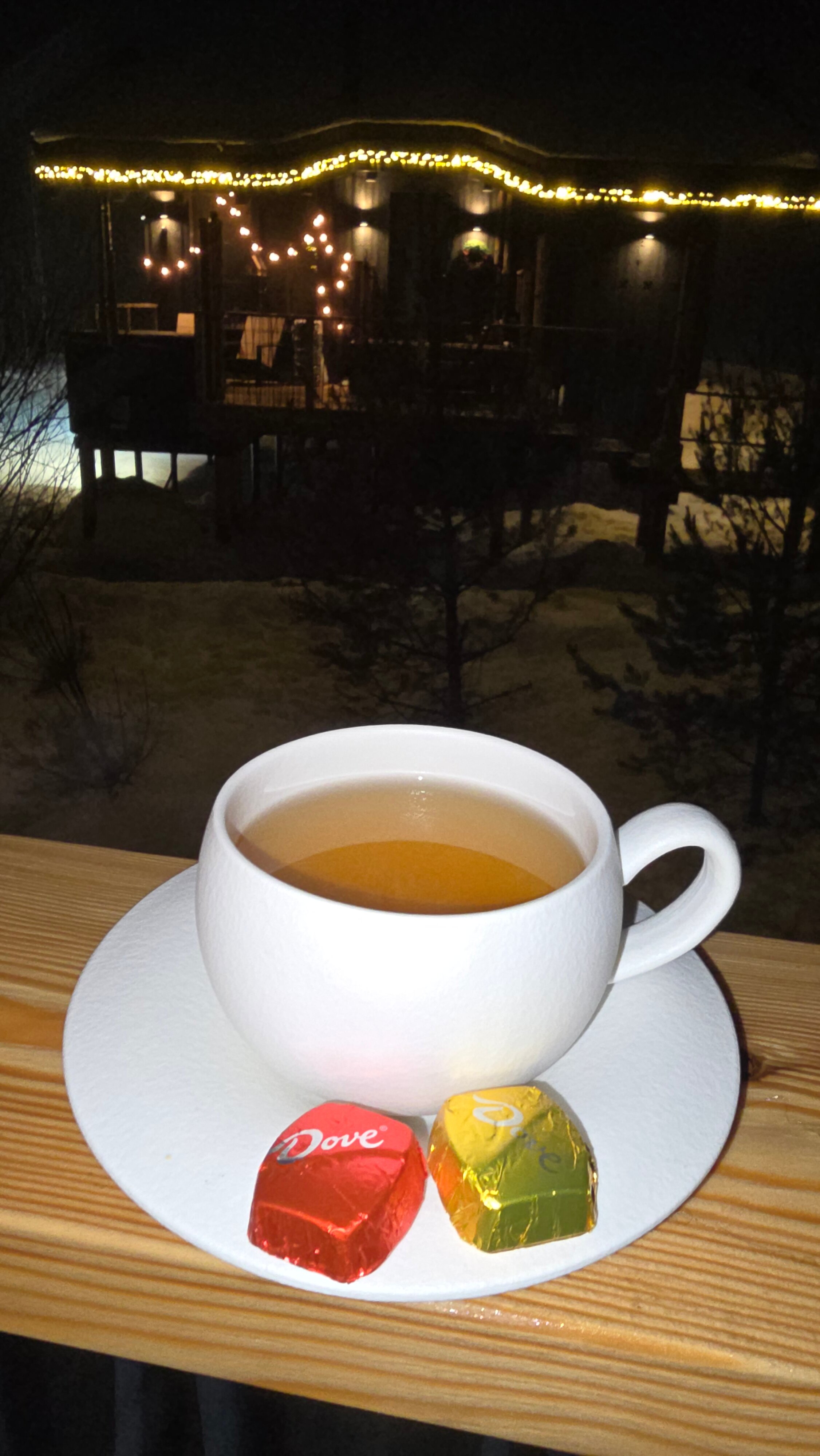 Фото ЕлятыЛодж