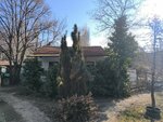 Eren Fidanlığı (Ankara Province, Altındag District, Solfasol Neighborhood) ، مشتل