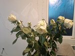 Вам цветы (Rostov Region, Volgodonsk, Gagarina Street), entrega de flores y ramos